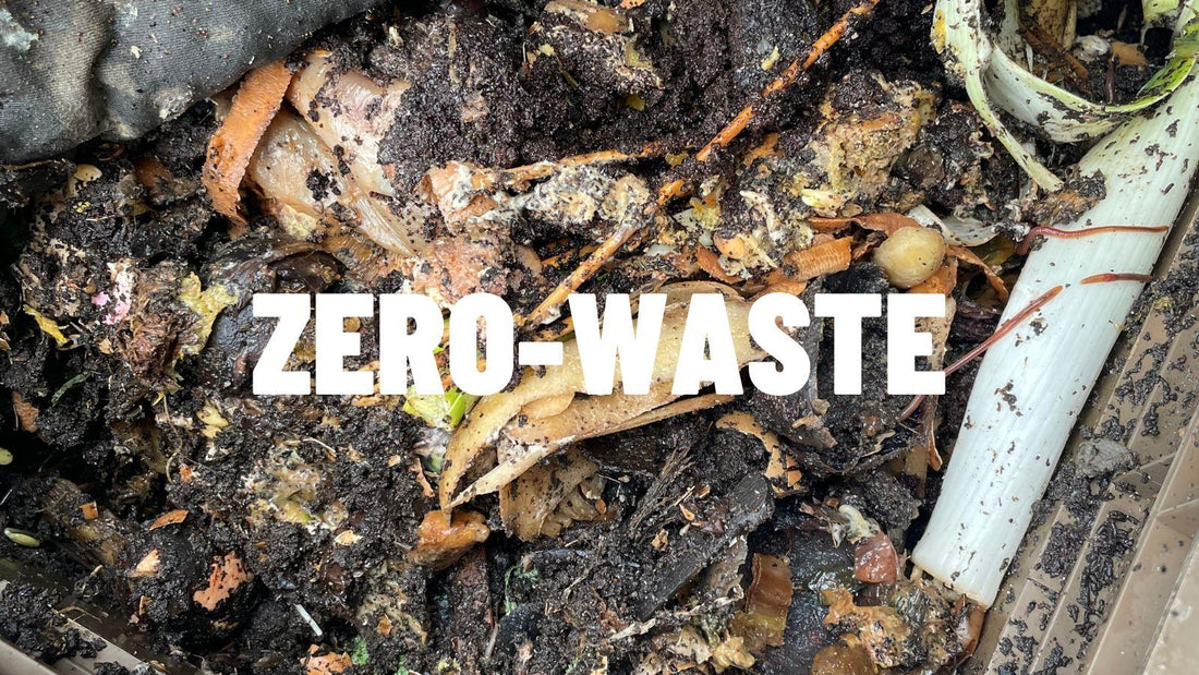 Why We Chose Home-Compostable Over Recyclable Packaging
